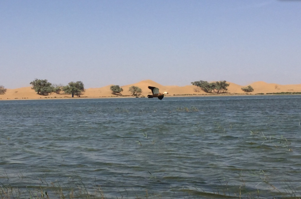 1467797010126569.jpg 勿怠勿忘.jpg